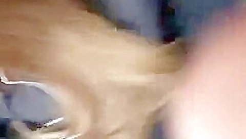 bus dick flash