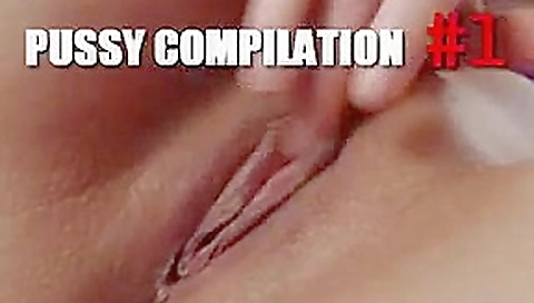 Pussy compilation #1