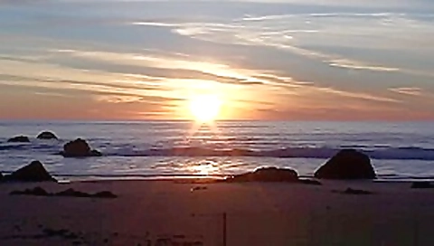 beach safaris sex hd 12