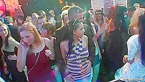 Superb horny brides suck big cocks in public
