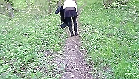 Balade printaniere en foret