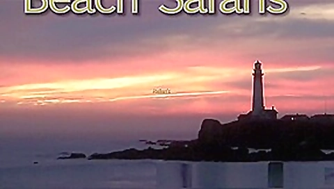 Rafians Beach Safaris 23