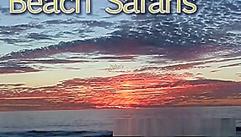 Rafians Beach Safaris 33