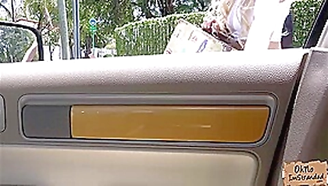 Kenzie Reeves gives a nice dude some sloppy bj for a ride