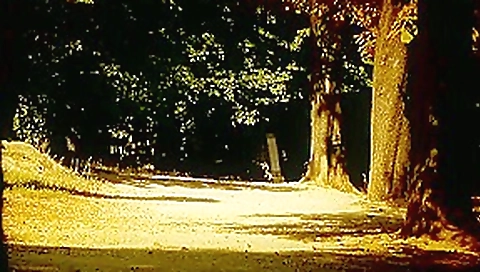 Sophie Lynx Jogging Girl