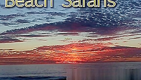 Beach by Camera (Beach Safaris Sex 34-35)