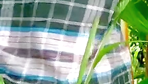 Indian Aunty Sex In a Field