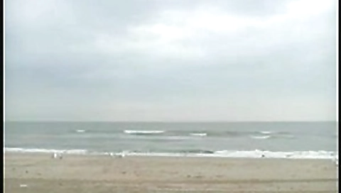 Dutch Beach Whore acquire a Hard Fuck an Anal