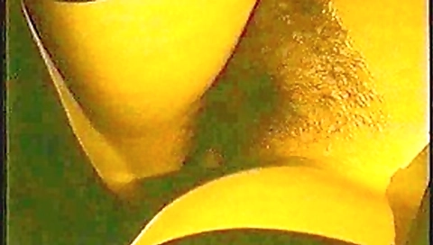 Amateur vintage sex tape features some wild public sex