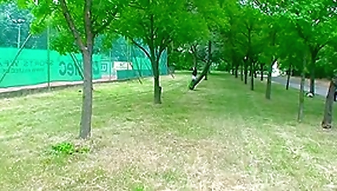 Cash for live sex in public place