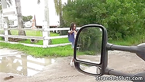 kinky brunette Diamond gets a free dick ride to someone who let her hitched