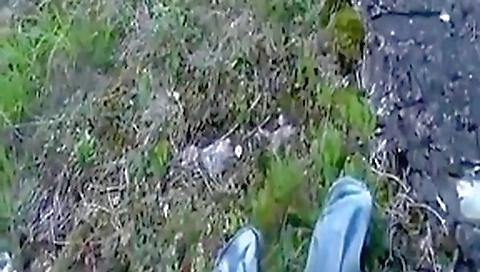 Pantyhose fuck in the forest