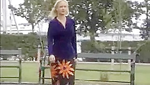 Dansk offentlig Sex (Public Sex)